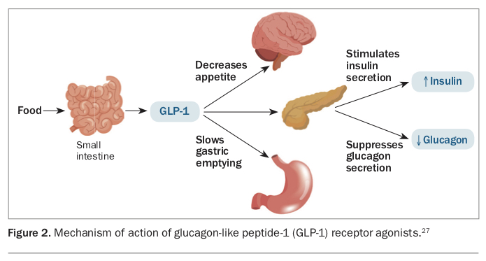 Navigating the new diabetes drugs: cardiovascular benefits and when to